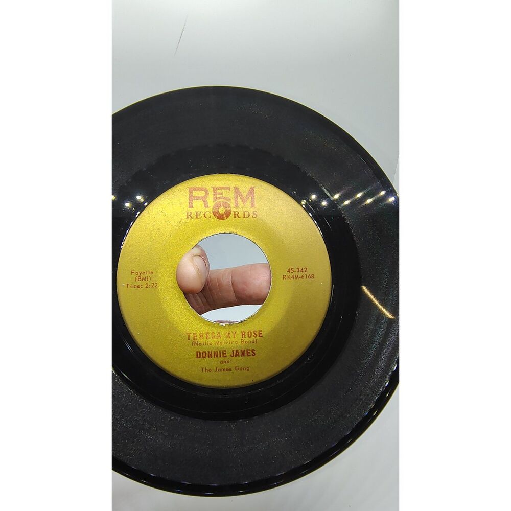 Donnie James - She's Gone Again / Teresa My Rose - REM Records